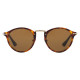 Havana / Polarized Brown