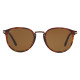 Havana / Brown Polarized