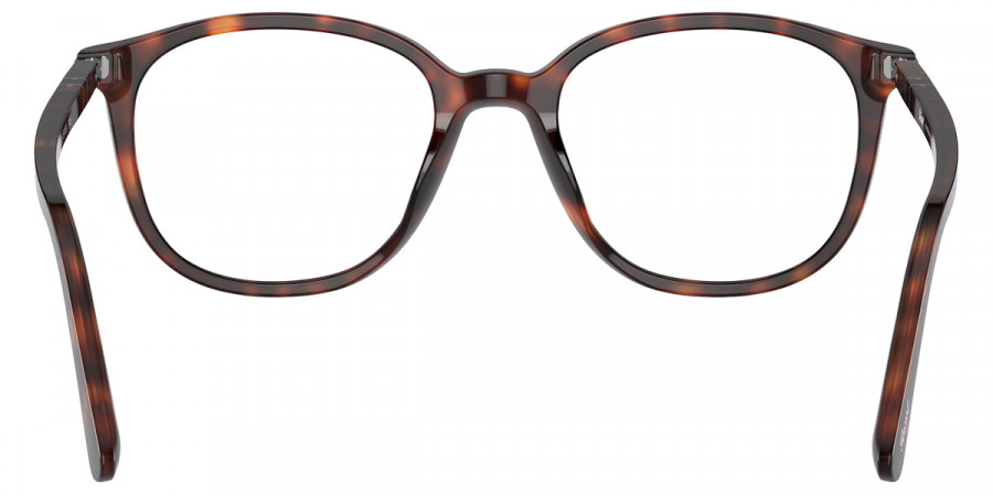Color: Havana (24) - Persol PO3317V2453