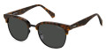 Havana Black / Gray Polarized