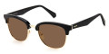 Black / Bronze Polarized