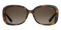 Havana / Brown Gradient Polarized