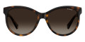 Havana / Brown Gradient Polarized