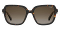 Havana / Brown Gradient Polarized