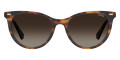 Havana / Brown Gradient Polarized