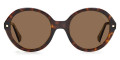 Havana / Bronze Polarized