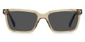 Beige / Gray Polarized