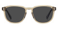 Beige Green / Gray Polarized