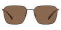 Dark Ruthenium / Bronze Polarized