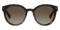 Havana / Brown Gradient Polarized