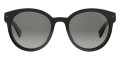 Black / Gray SF Polarized