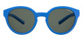 Blue / Gray Polarized
