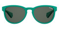 Green / Gray Polarized