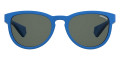 Blue / Gray Polarized