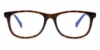 Color: Havana Blue (0IPR) - Polaroid PLKD8130IPR48