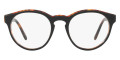 Top Black on Havana Jerry