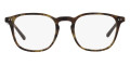 Shiny Jerry Havana