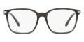 Shiny Transparent Gray