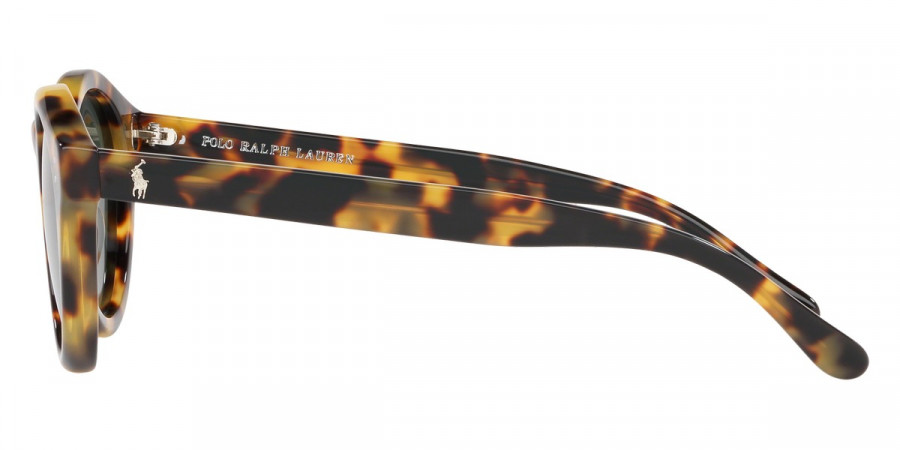 Color: Shiny Spotty Havana (500471) - Polo PH414950047149
