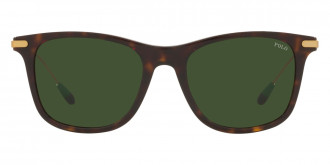 Color: Shiny Dark Havana (500371) - Polo PH4179U50037152