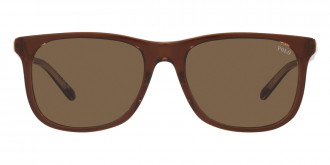 Color: Shiny Transparent Brown on Crystal (602973) - Polo PH4186U60297355