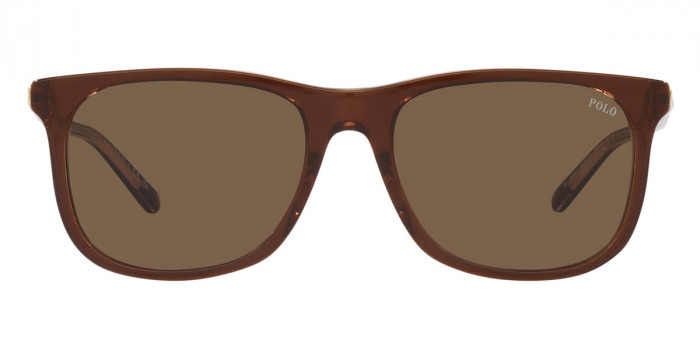 POLO RALPH LAUREN™ PH4186U 602973 55 - Shiny Transparent Brown on Crystal