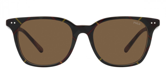 POLO RALPH LAUREN™ PH4187 562573 52 - Shiny Dress Gordon