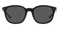 Shiny Black / Gray