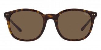 Color: Shiny Dark Havana (500373) - Polo PH418850037353
