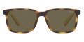 Shiny Havana / Brown