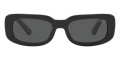 Shiny Black / Gray