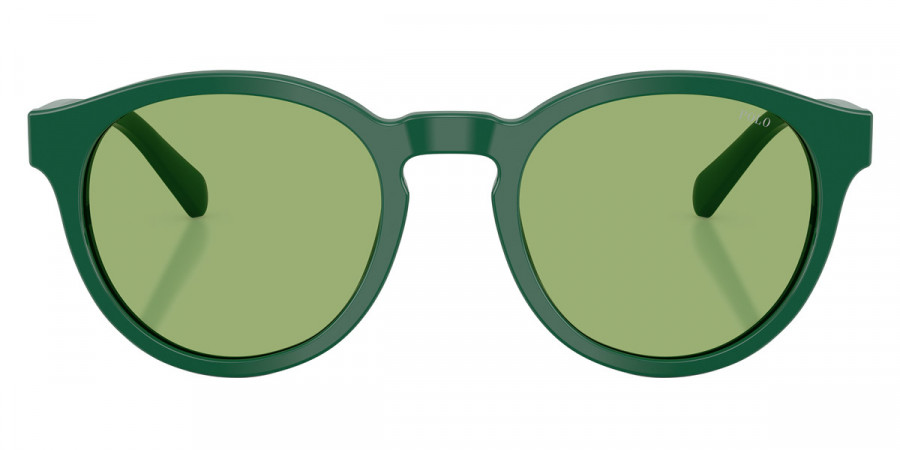 Polo™ PH4192 6141/2 51 - Shiny Dark Green