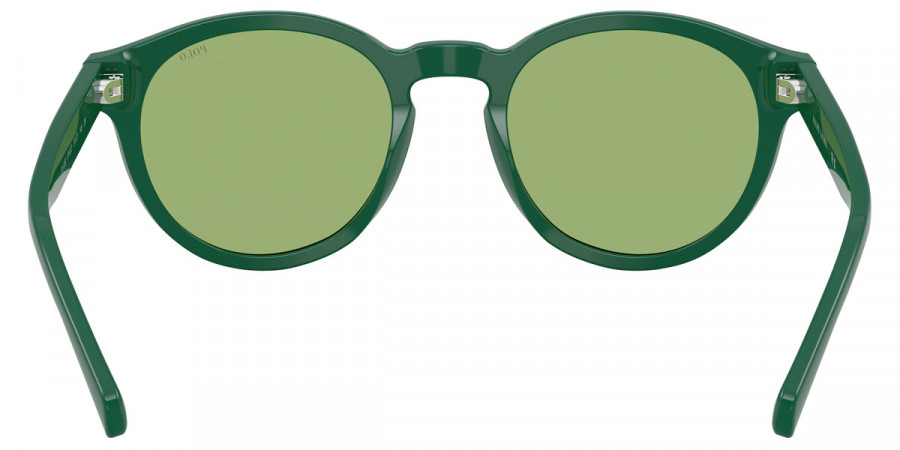 Color: Shiny Dark Green (6141/2) - Polo PH41926141/251