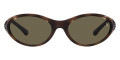 Shiny Havana / Brown