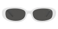Shiny White / Dark Gray
