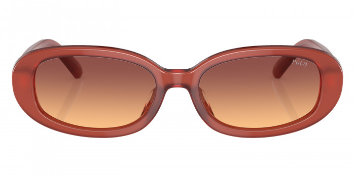 POLO RALPH LAUREN™ PH4198U 619478 53 - Opal Cognac