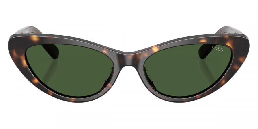 Polo™ PH4199U 500371 54 - Shiny Dark Havana