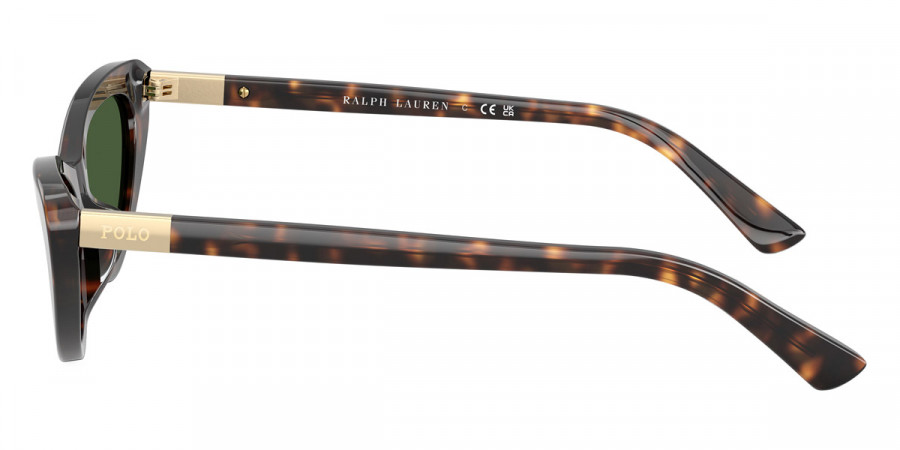 Color: Shiny Dark Havana (500371) - Polo PH4199U50037154