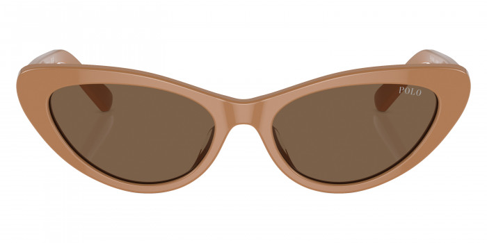 POLO RALPH LAUREN™ PH4199U 619673 54 - Shiny Brown