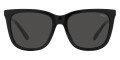 Shiny Black / Dark Gray