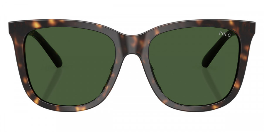Polo™ PH4201U 500371 55 - Shiny Dark Havana