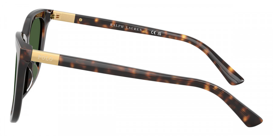 Color: Shiny Dark Havana (500371) - Polo PH4201U50037155