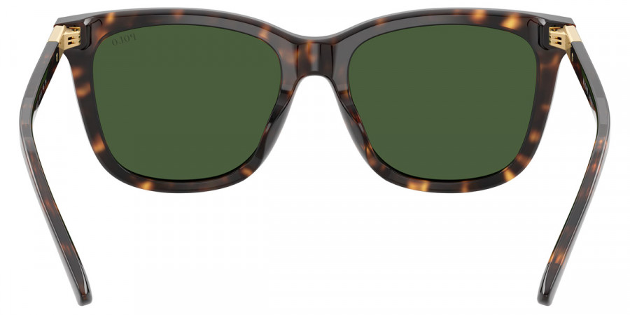 Color: Shiny Dark Havana (500371) - Polo PH4201U50037155