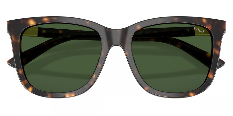 Color: Shiny Dark Havana (500371) - Polo PH4201U50037155