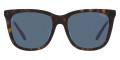 Shiny Dark Havana / Blue