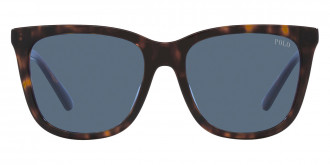 Color: Shiny Dark Havana (500380) - Polo PH4201U50038055