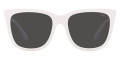 Shiny White / Dark Gray