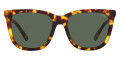 Shiny Havana / Dark Green