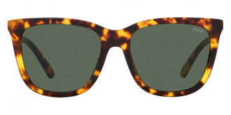 Color: Shiny Havana (607871) - Polo PH4201U60787155
