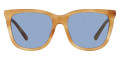 Shiny Light Honey Havana / Light Blue